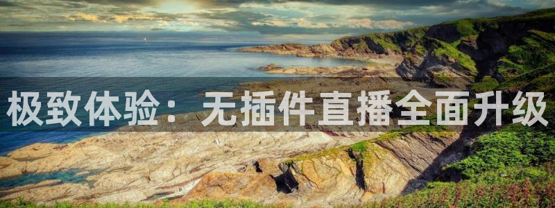 火凤足球直播免费观看全部：极致体验：无插件直播全面升级