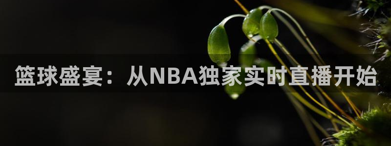 火凤足球比赛直播：篮球盛宴：从NBA独家实时直播开始