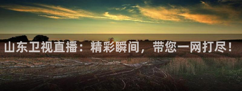 火凤免费观看体育直播：山东卫视直播：精彩瞬间，带您一网打尽！