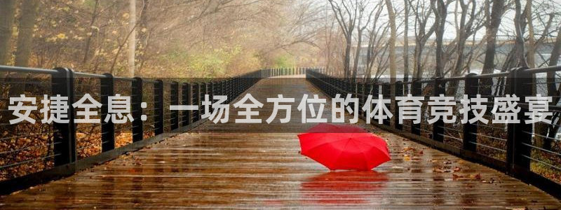 火凤直播体育官网：安捷全息：一场全方位的体育竞技盛宴