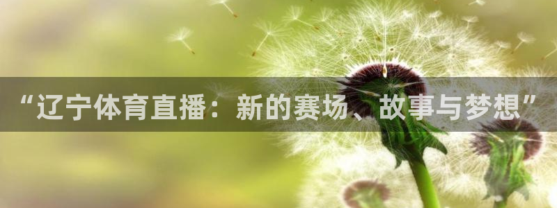 火凤免费观看体育直播：“辽宁体育直播：新的赛场、故事与梦想”